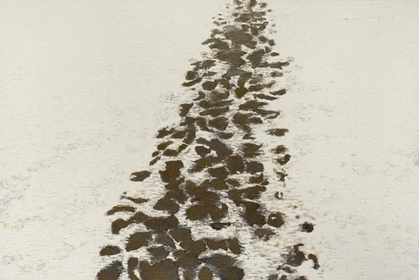 Tomasz Tatarczyk, KROK ZA KROKIEM VI , 1996