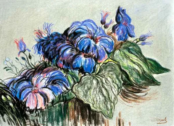 Leon Wyczółkowski, Egzotyczne kwiaty