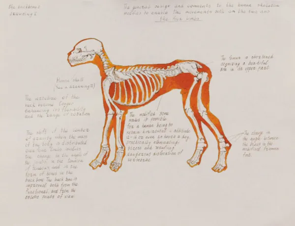 Oleg Kulik, Z cyklu Family of the Future, 1997