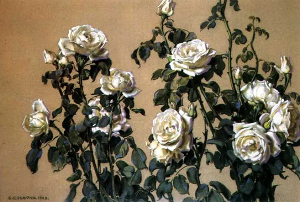 Stanisław Ejsmond, Białe róże