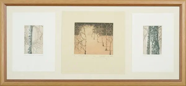 Autor nierozpoznany, trzy grafiki współoprawne 