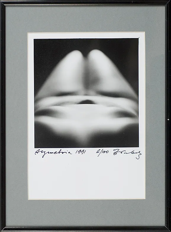 Zbigniew Dłubak, Asymetria, 1991