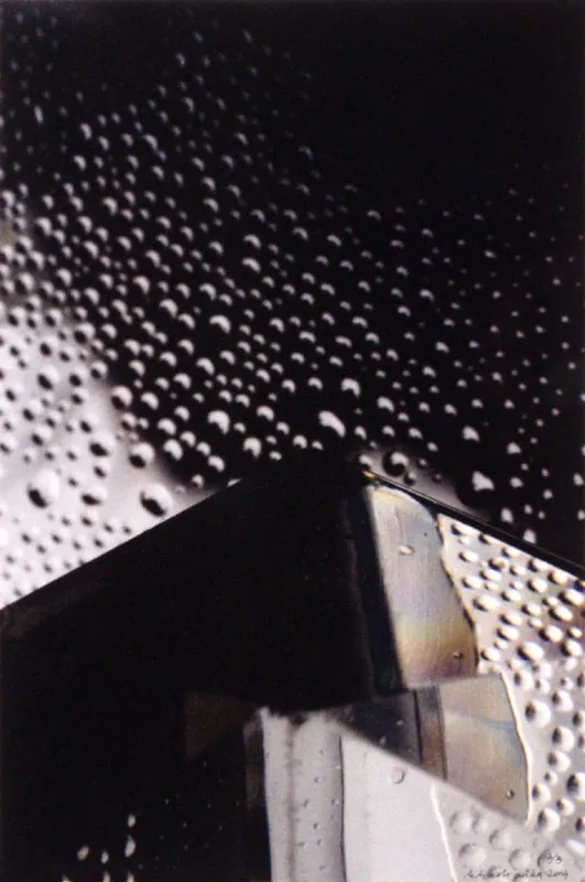 Małgorzata Macharska, Bez tytułu I, 2004