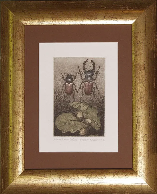 Elżbieta  Bocianowska, Jelonki