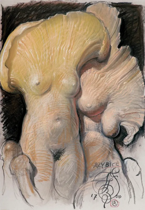 Franciszek Starowieyski, GRZYBICE, 2000