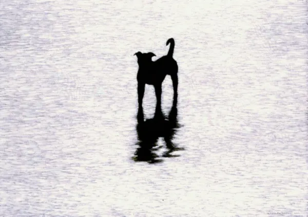 Tomasz Tatarczyk, Bez tytułu, 2001