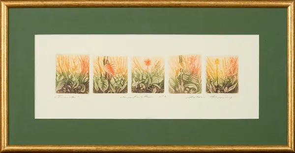 Adam  Kwaśny, TRAWKI