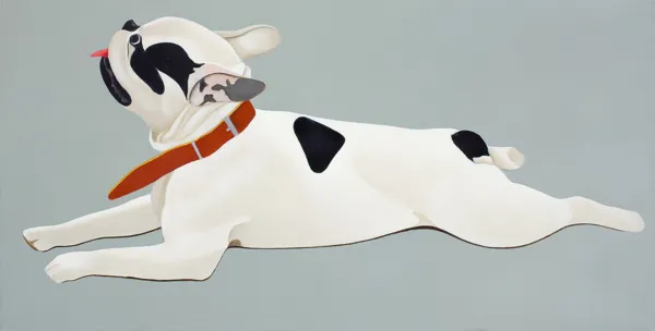 Antoni Janusz Wojnarowski, Boston terrier, 2013