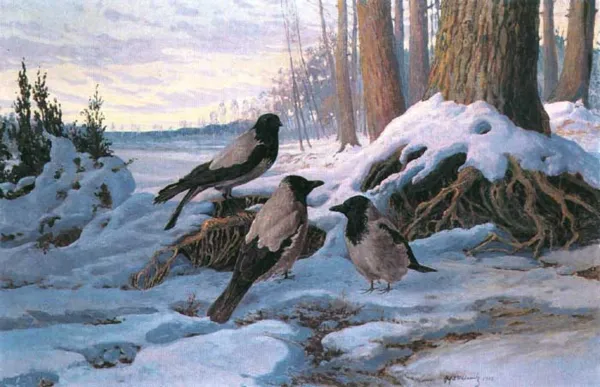 Rafał Wąsowicz, Narada