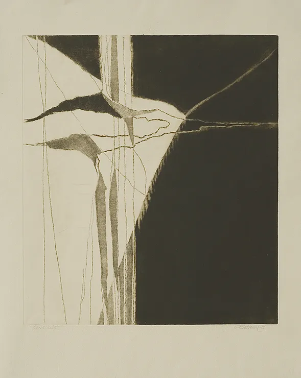 Edmund Piotrowicz, Górski kwiat, 1982