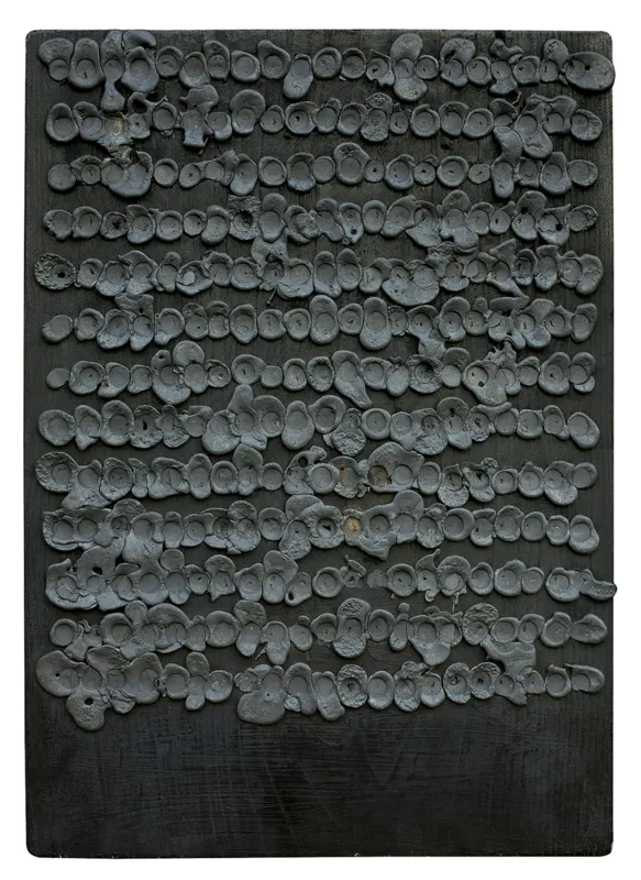 Andrzej Szewczyk, ŚWIADEK, 1989