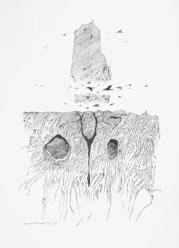 Grzegorz W.  Komorowski, Ptaki nad ziemią, 2003/04