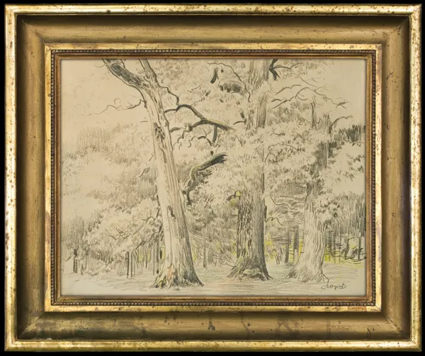 Leon Wyczółkowski, DĘBY