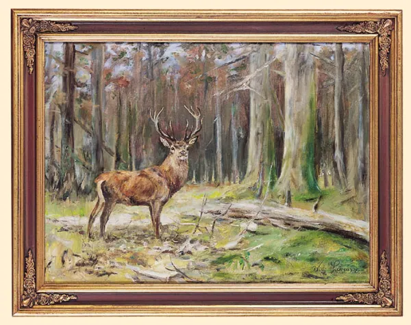 Willy Lorenz, JELEŃ