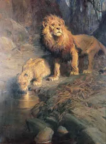 Tadeusz Styka, Noc w puszczy