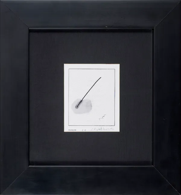 Stanisław Fijałkowski, Photoshop 5 bb