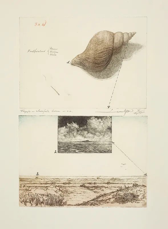 Leszek Rózga, FRYZJA, 1975