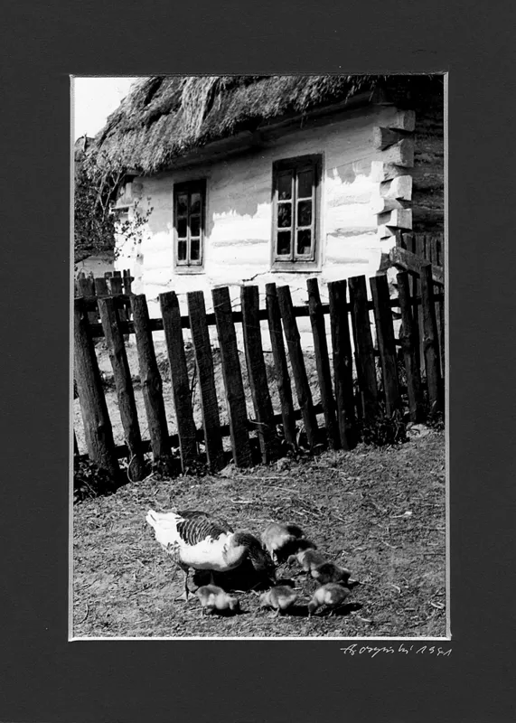 Stefan Arczyński, Wiejska zagroda, 1941