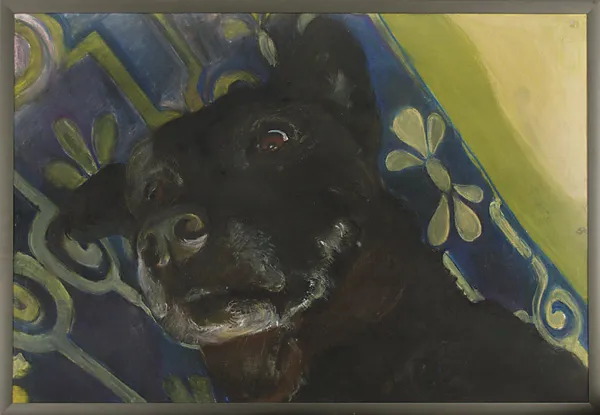 Maria Teresa Kuczyńska, Pies z wyspy Tonga