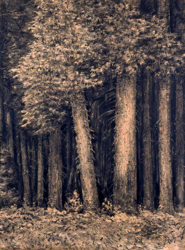 Leon Wyczółkowski, Las, ok. 1930