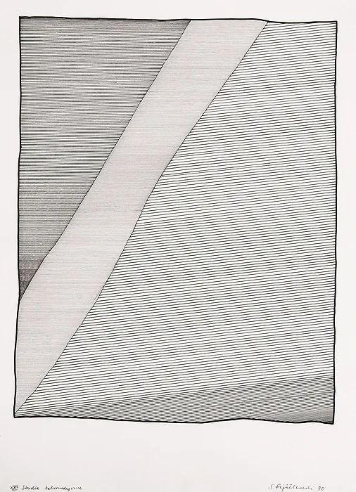 Stanisław Fijałkowski, XXI STUDIA TALMUDYCZNE, 1980 