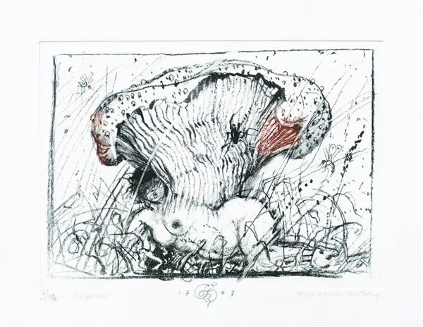 Franciszek Starowieyski, Grzyboida, 2003