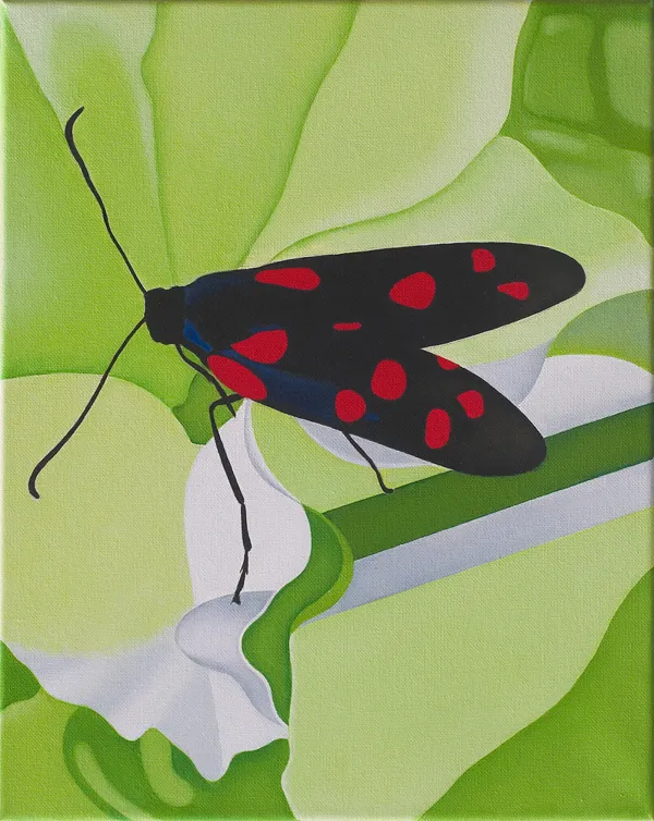 Antoni Janusz Wojnarowski, Motyl / 2B, 2013