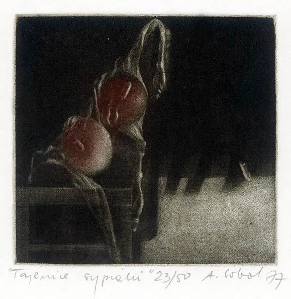 Anna Sobol-Wejman, Tajemnice sypialni, 1977