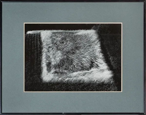 Jan Spałwan, Poletko