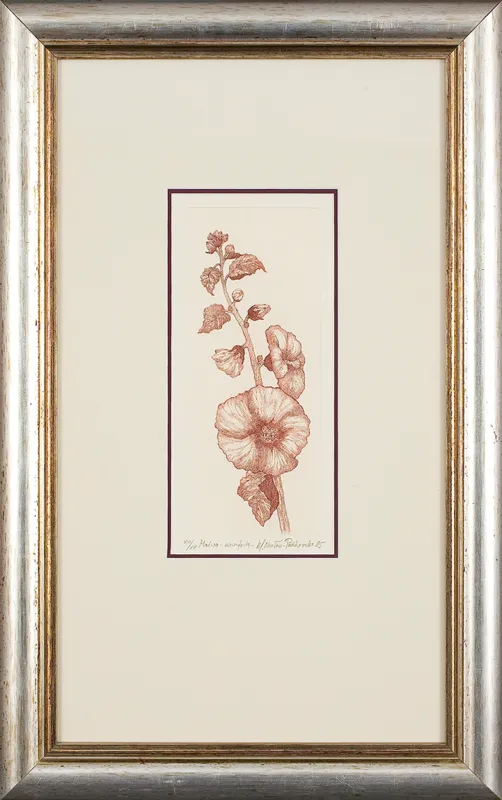 Maria Okołów-Podhorska, Malwa, 1985