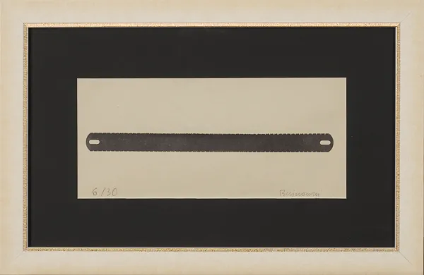 Rafał Bujnowski, Brzeszczot 