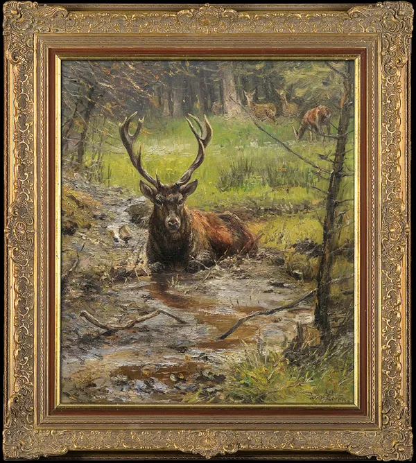 Willy Lorenz, JELEŃ