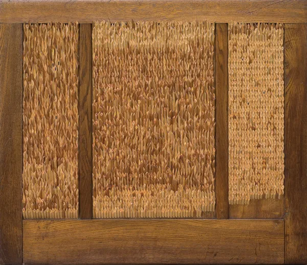 Andrzej Szewczyk, KOLĘDA, 1993/94