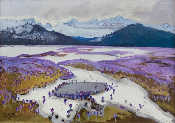 Stanisław Gałek, KROKUSY W TATRACH, 1921