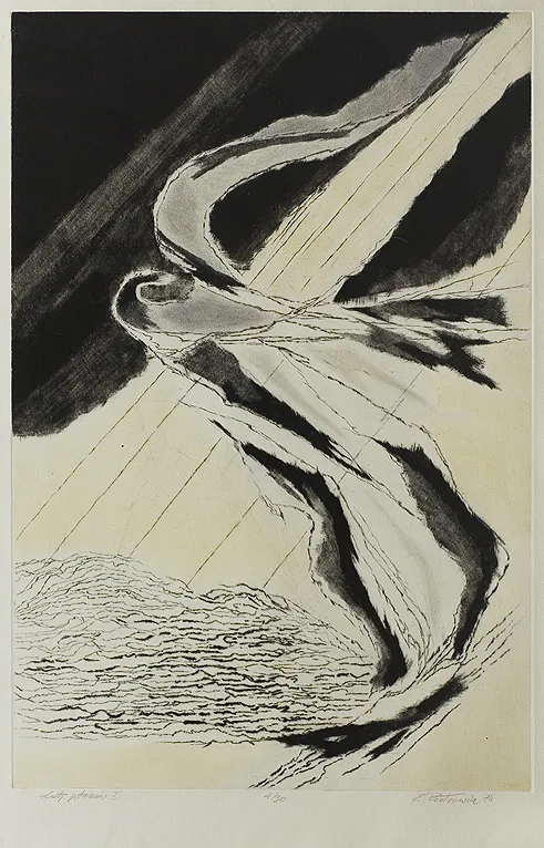 Edmund Piotrowicz, Loty ptaków I, 1984