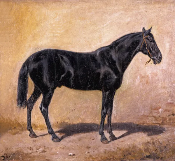 Józef Brandt, Studium karego konia