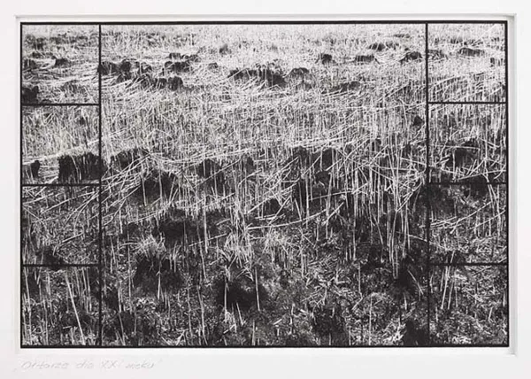 Aleksandra Mańczak, Ołtarze dla XXI wieku, ok. 1987