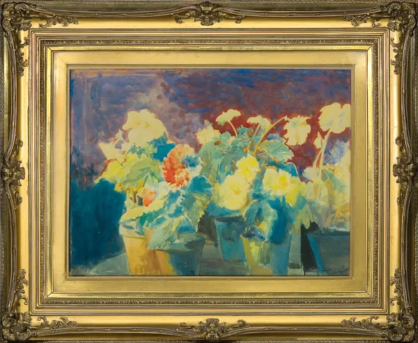 Leon Wyczółkowski, KWITNĄCE BEGONIE, 1931