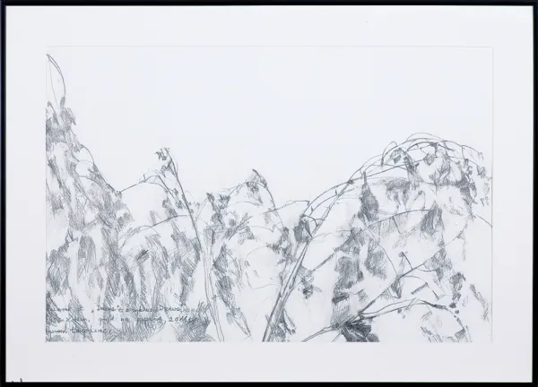 Ryszard Łagodziec, DRZEWA, z cyklu Drzewa, 2016