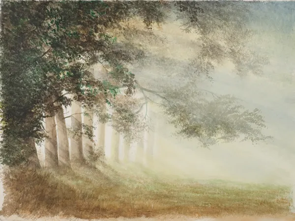 Andrzej Otawa, Światło