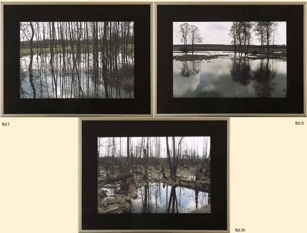 Marcin Zieliński, Tryptyk - Roztopy, 2006