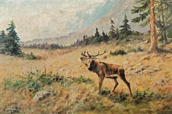 Georg (George) Majewicz, JELEŃ