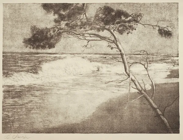 Stanisław Szwarc, Sosna, z teki 