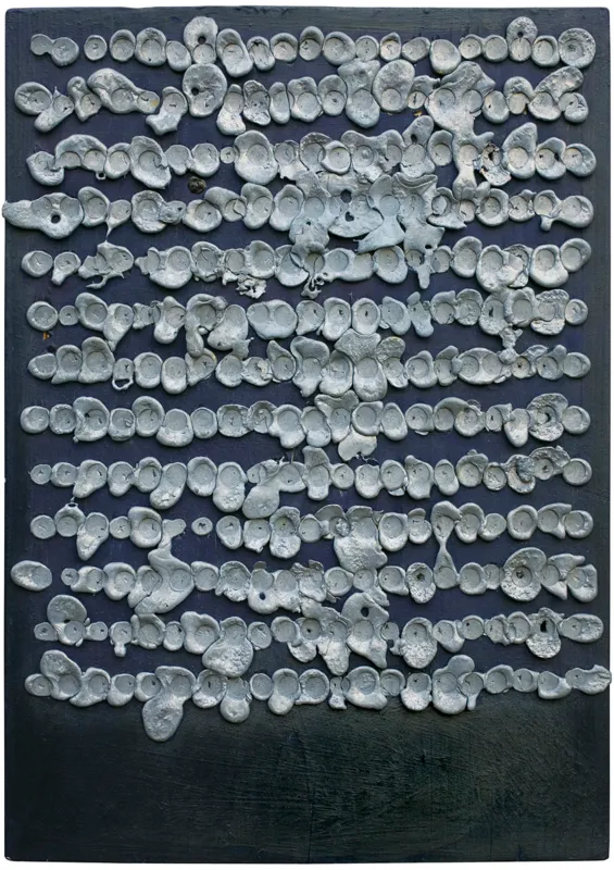 Andrzej Szewczyk, ŚWIADEK, 1989