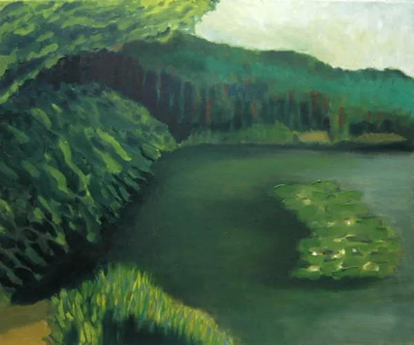 Tomasz Dominik, Nenufary