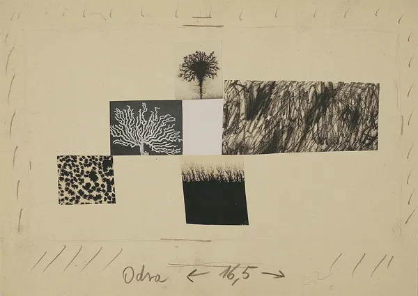 Alfons Mazurkiewicz, Ilustracja do Odry