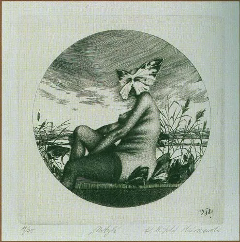 Krzysztof Witold Skórczewski, Motyle