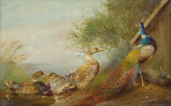 Max  Hänger II, KACZKI I PAWIE