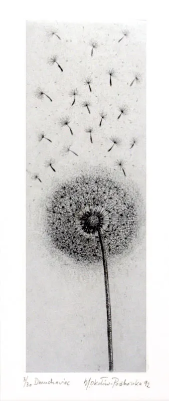 Maria Okołów-Podhorska, Dmuchawiec, 1992