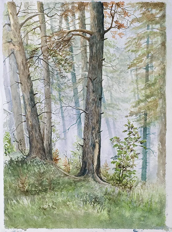 Andrzej Otawa, Wnętrze lasu, 2007